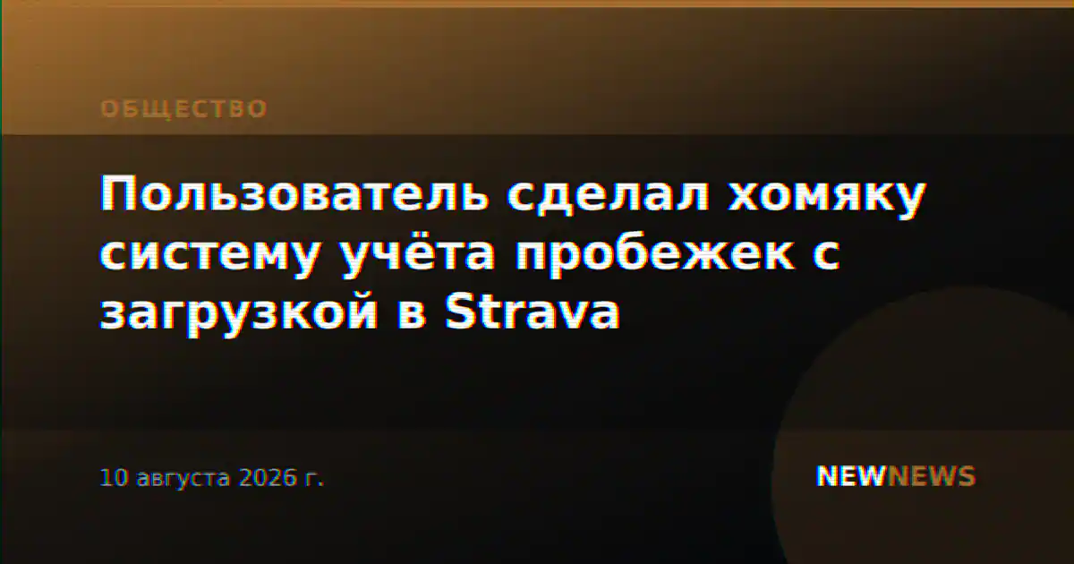 Пользователь сделал хомяку систему учёта пробежек с загрузкой в Strava
