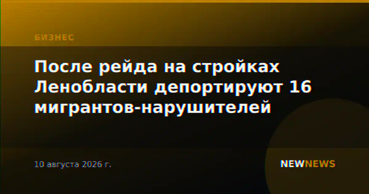 После рейда на стройках Ленобласти депортируют 16 мигрантов-нарушителей