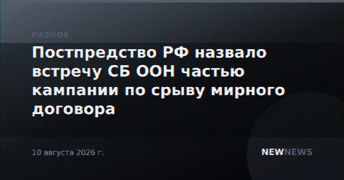 Постпредство РФ назвало встречу СБ ООН частью кампании по срыву мирного договора