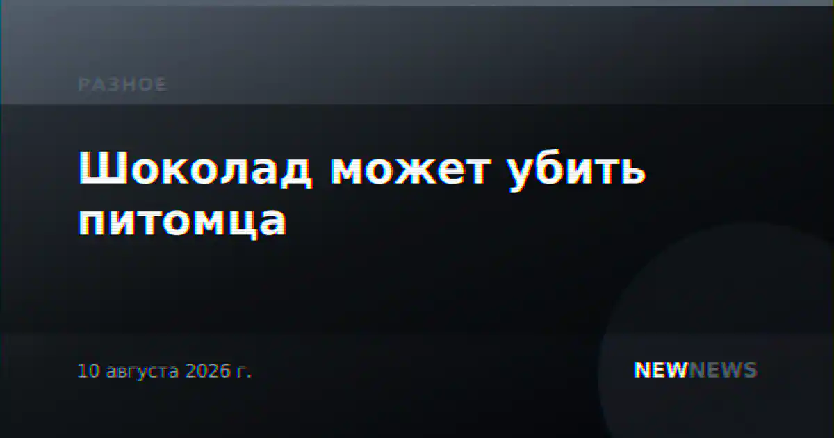 Шоколад может убить питомца