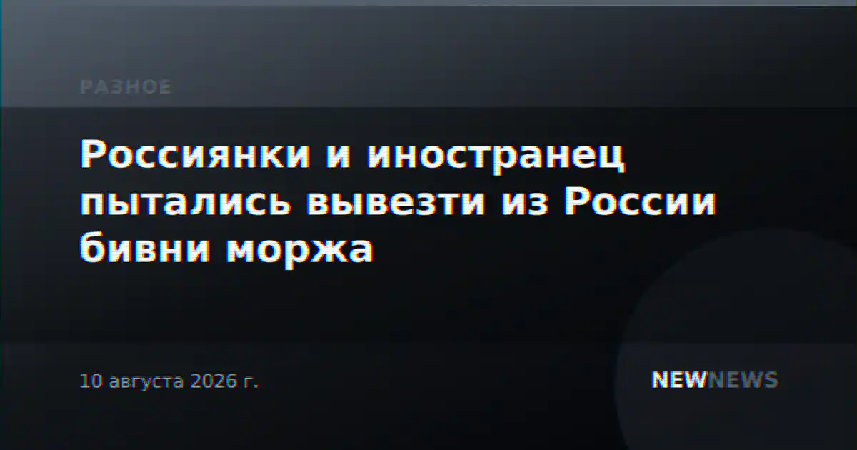 Россиянки и иностранец пытались вывезти из России бивни моржа