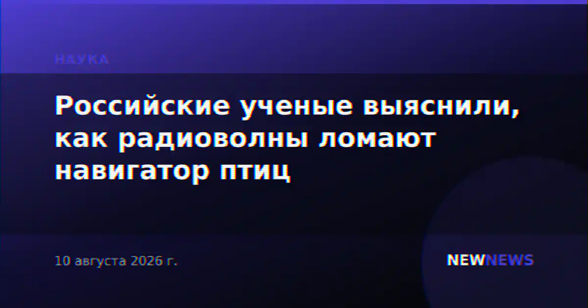 Российские ученые выяснили, как радиоволны ломают навигатор птиц