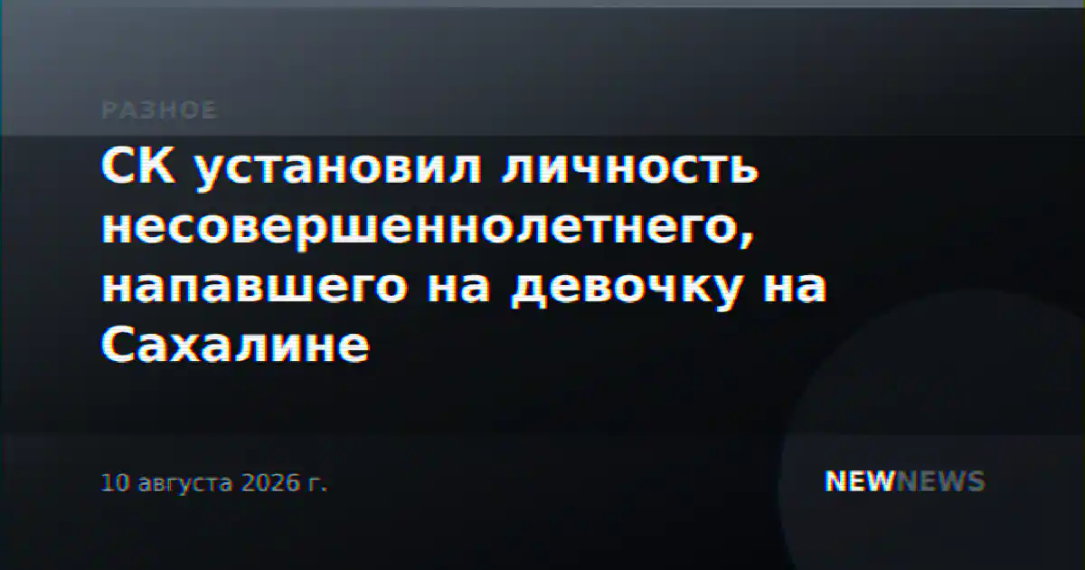 СК установил личность несовершеннолетнего, напавшего на девочку на Сахалине