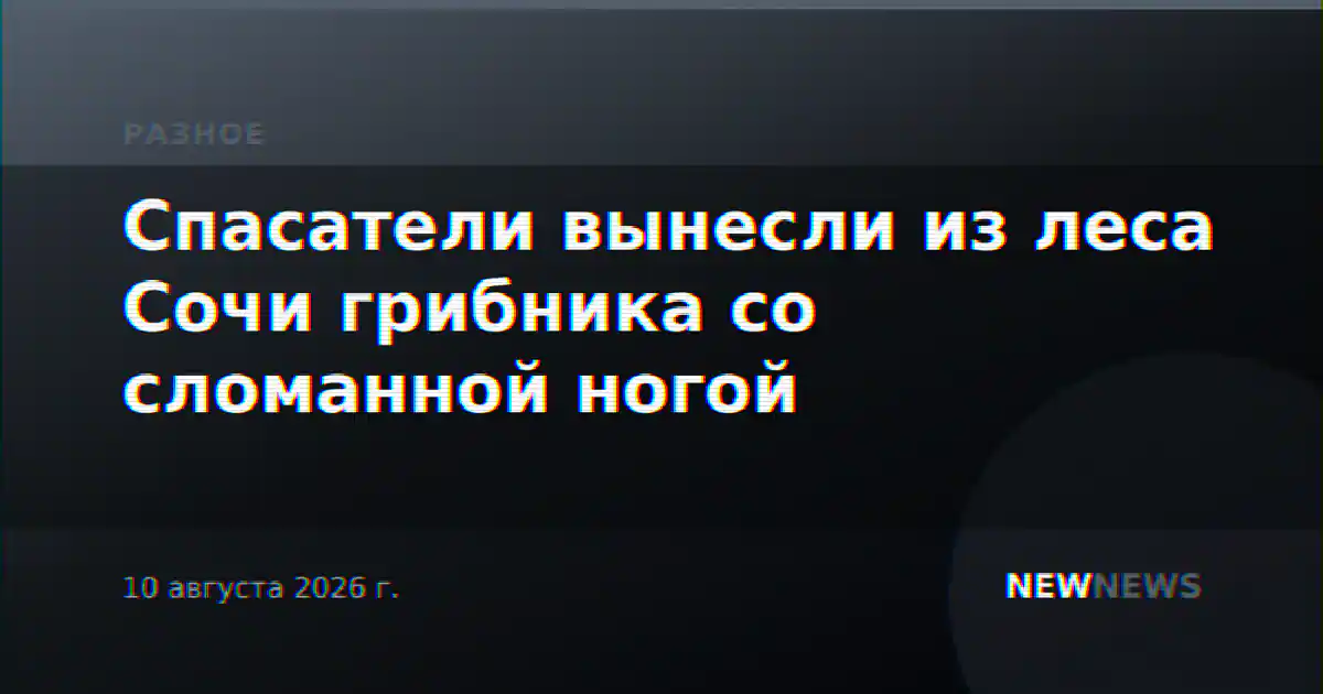 Спасатели вынесли из леса Сочи грибника со сломанной ногой
