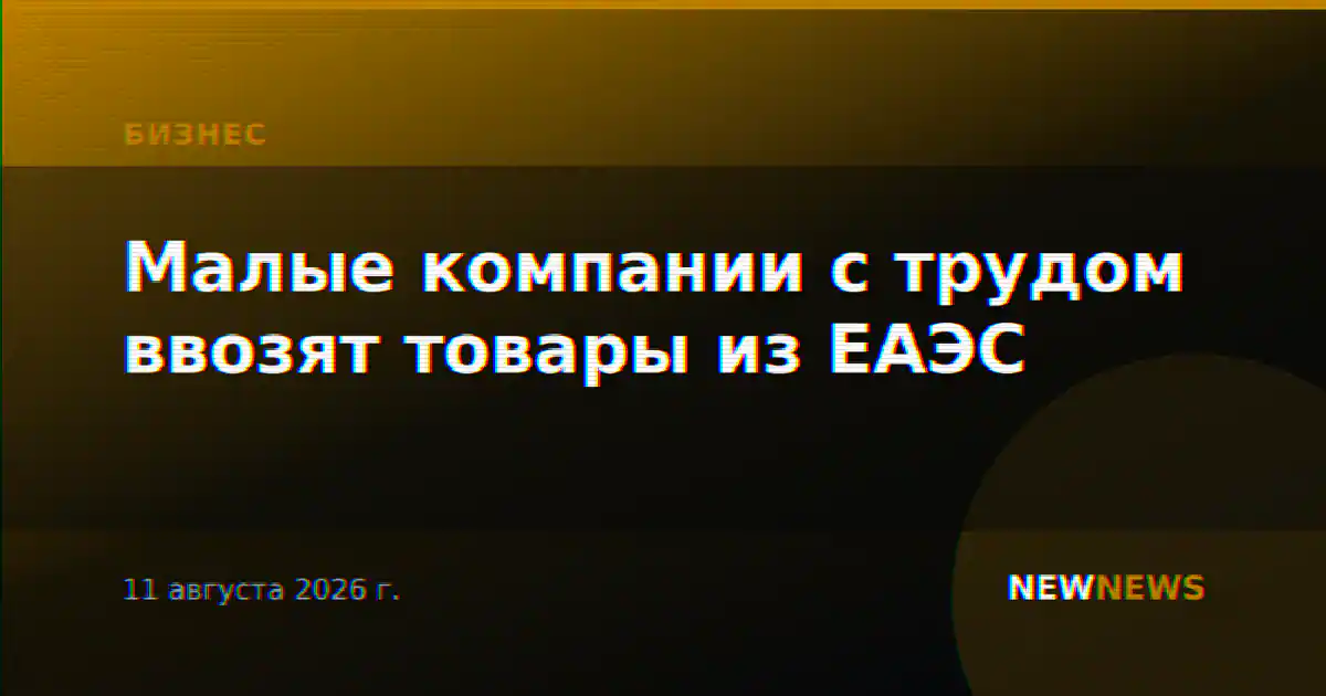 Малые компании с трудом ввозят товары из ЕАЭС