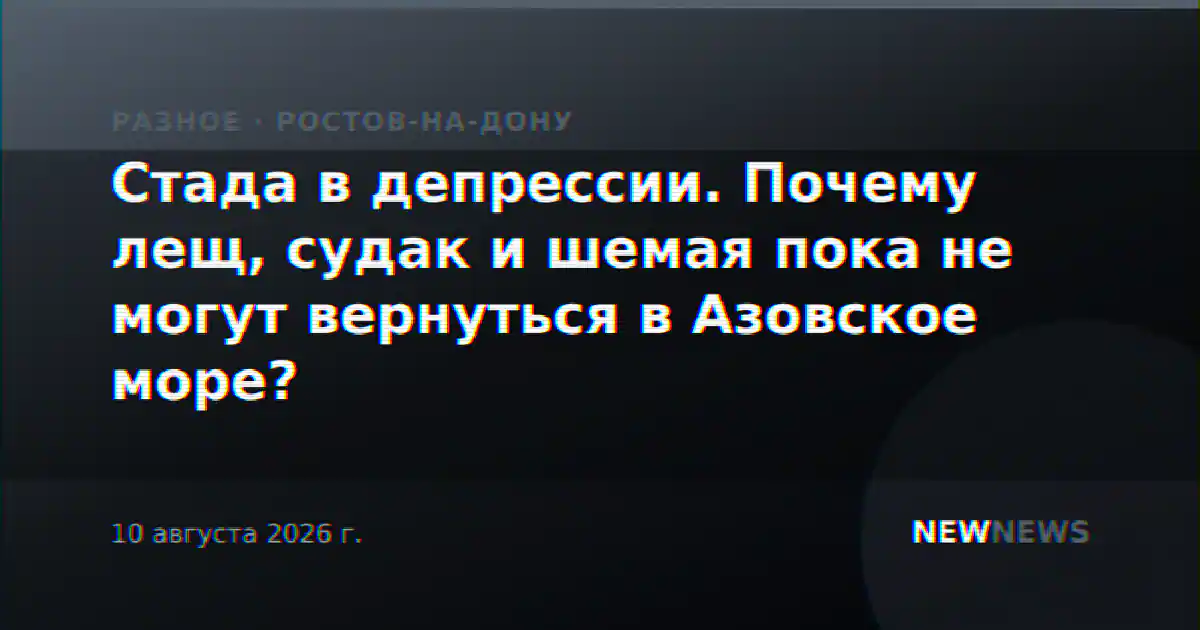 Стада в депрессии. Почему лещ, судак и шемая пока не могут вернуться в Азовское море?