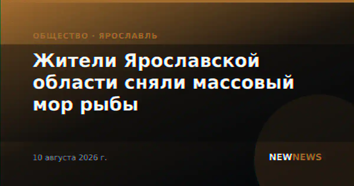 Жители Ярославской области сняли массовый мор рыбы