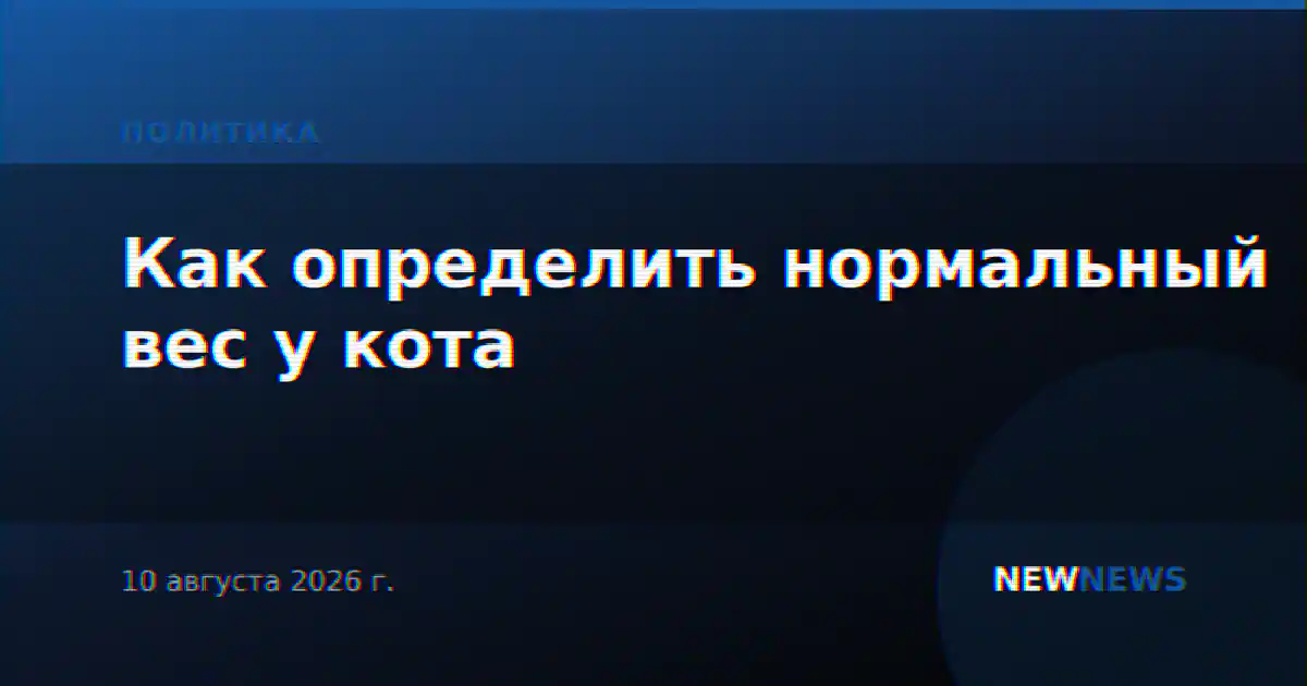 Как определить нормальный вес у кота
