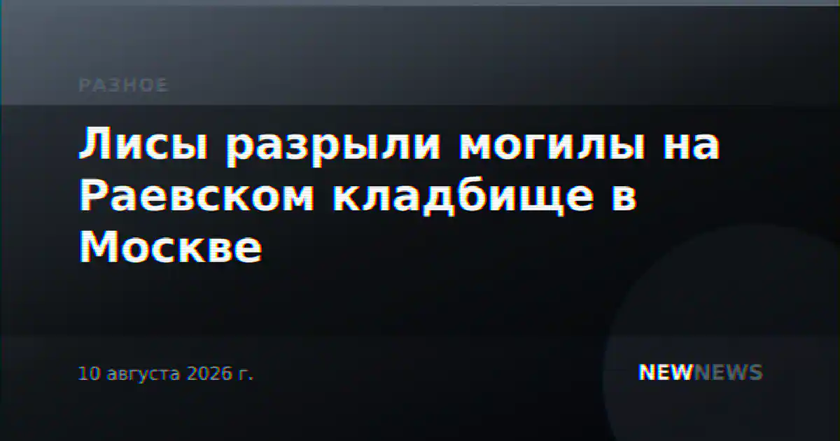 Лисы разрыли могилы на Раевском кладбище в Москве