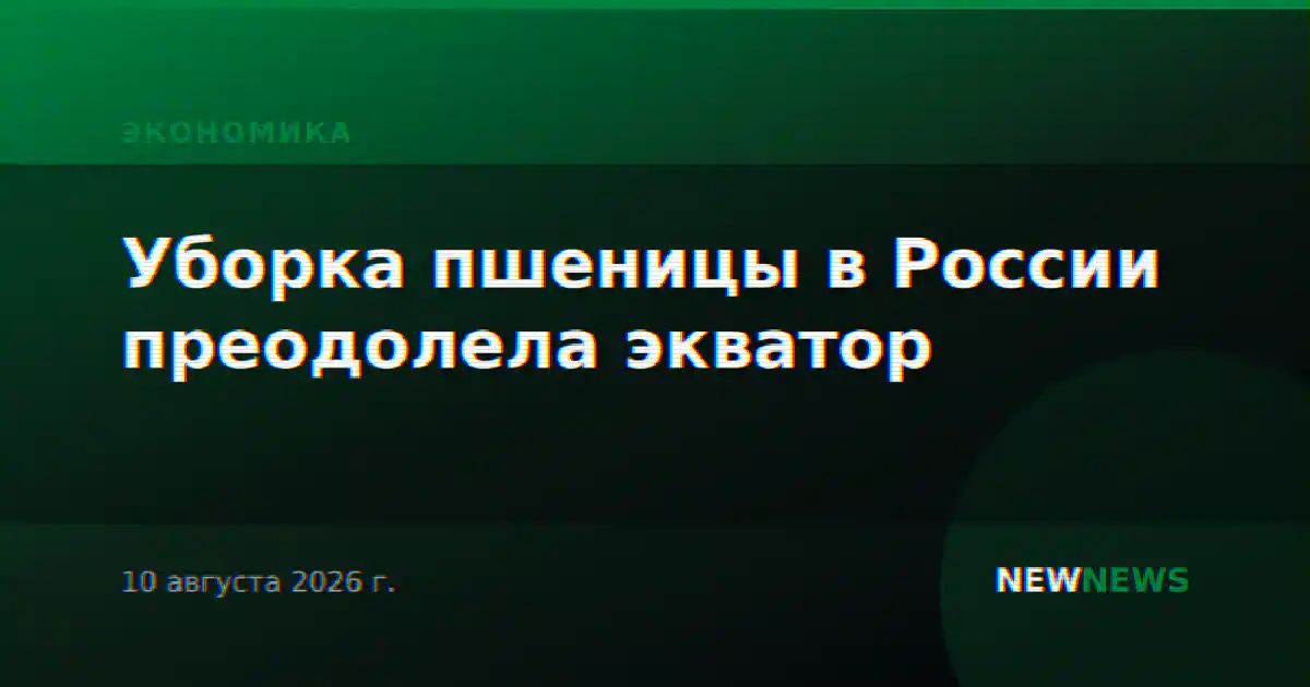 Уборка пшеницы в России преодолела экватор