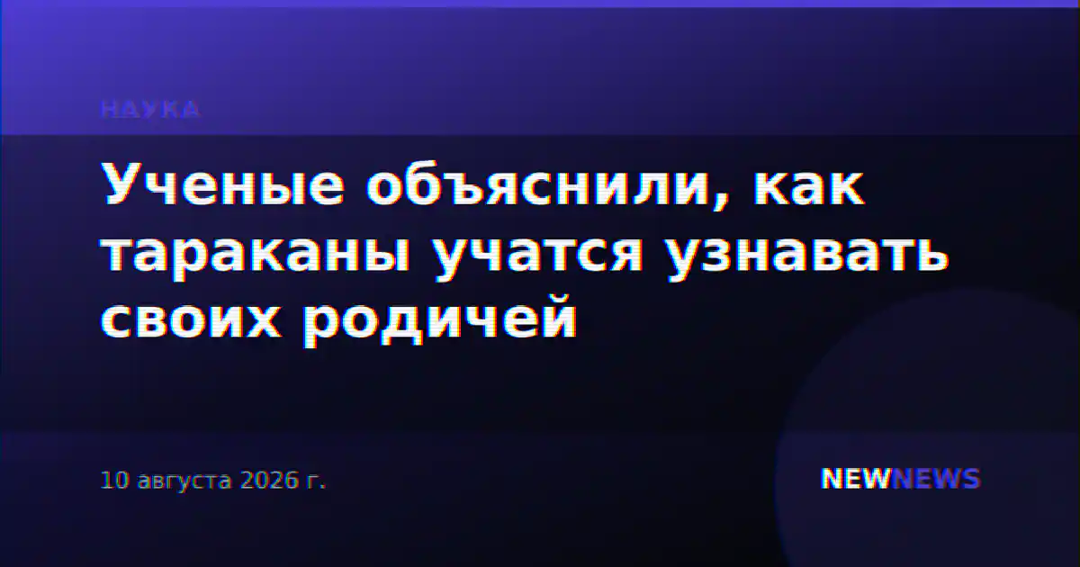 Ученые объяснили, как тараканы учатся узнавать своих родичей