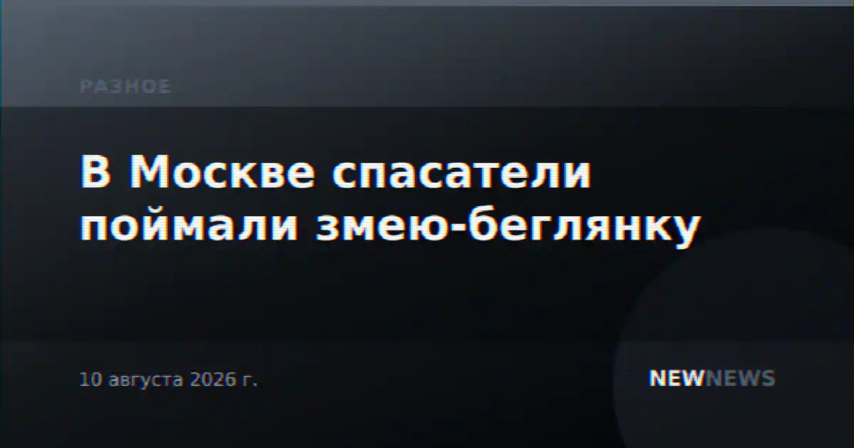 В Москве спасатели поймали змею-беглянку