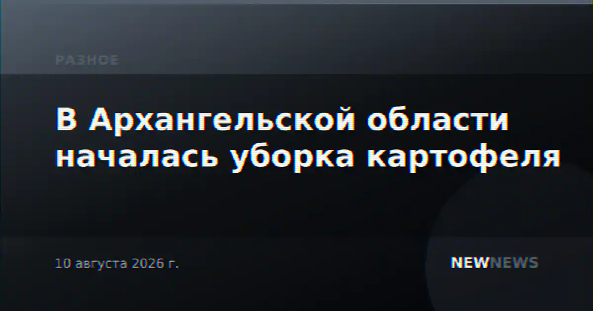 В Архангельской области началась уборка картофеля