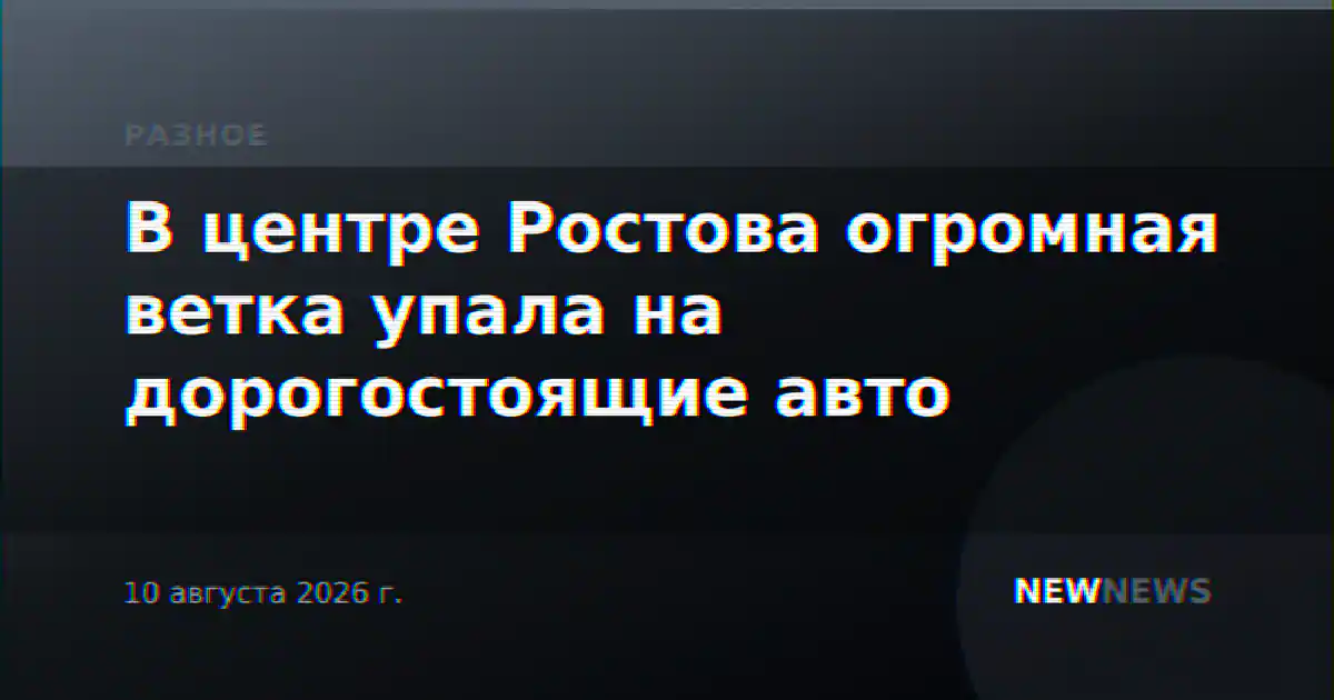 В центре Ростова огромная ветка упала на дорогостоящие авто
