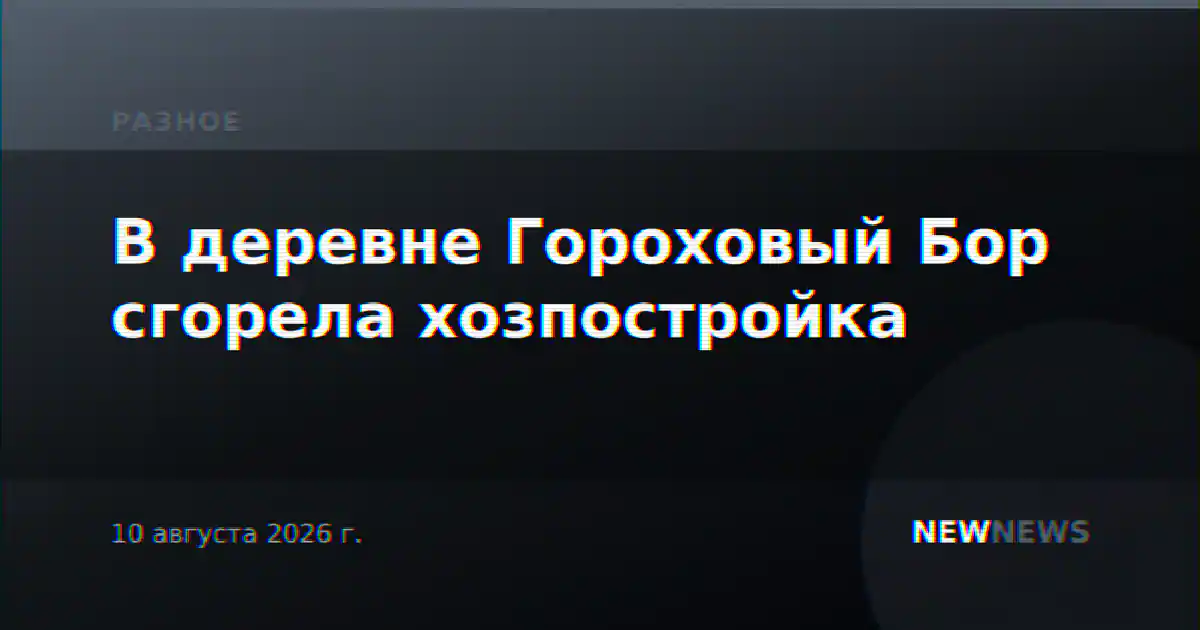 В деревне Гороховый Бор сгорела хозпостройка