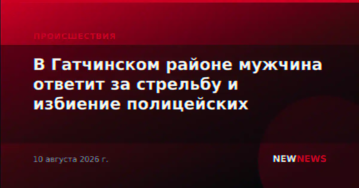В Гатчинском районе мужчина ответит за стрельбу и избиение полицейских
