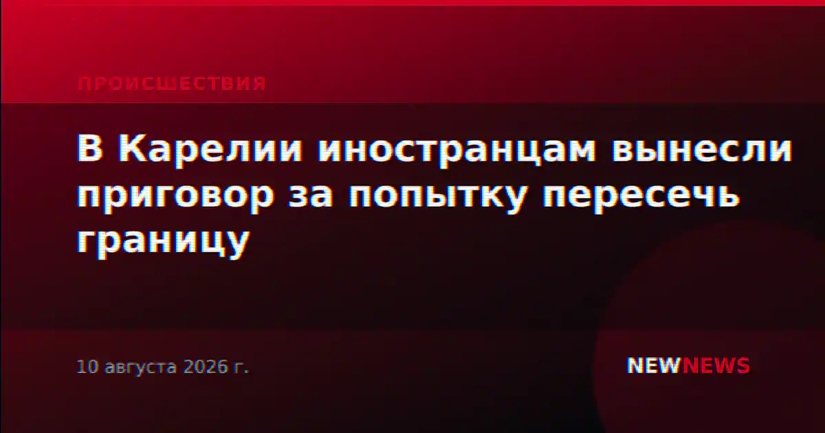 В Карелии иностранцам вынесли приговор за попытку пересечь границу