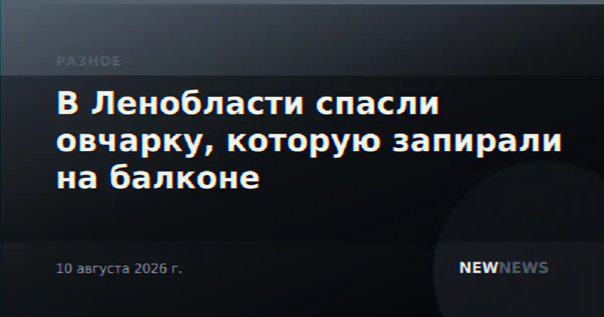 В Ленобласти спасли овчарку, которую запирали на балконе