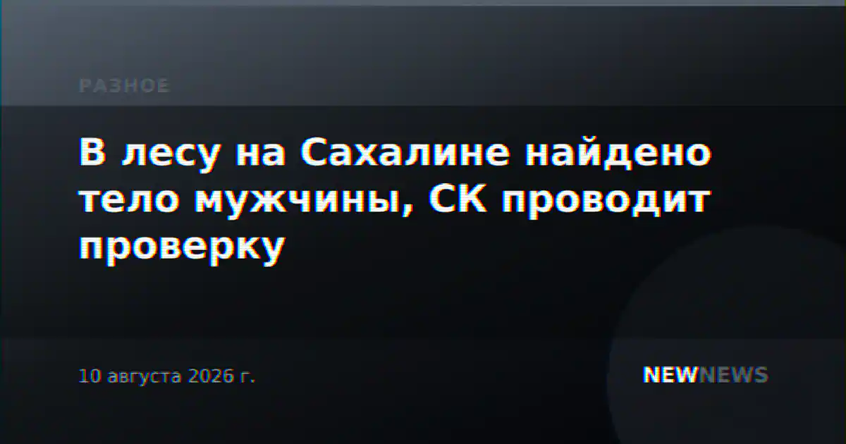 В лесу на Сахалине найдено тело мужчины, СК проводит проверку