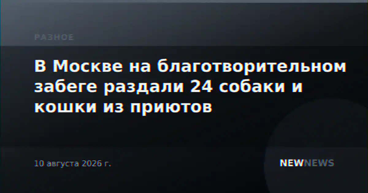 В Москве на благотворительном забеге раздали 24 собаки и кошки из приютов