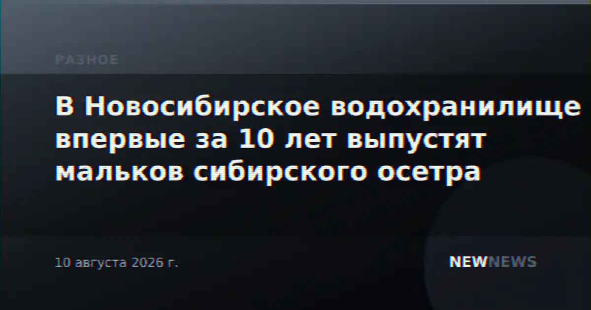 В Новосибирское водохранилище впервые за 10 лет выпустят мальков сибирского осетра