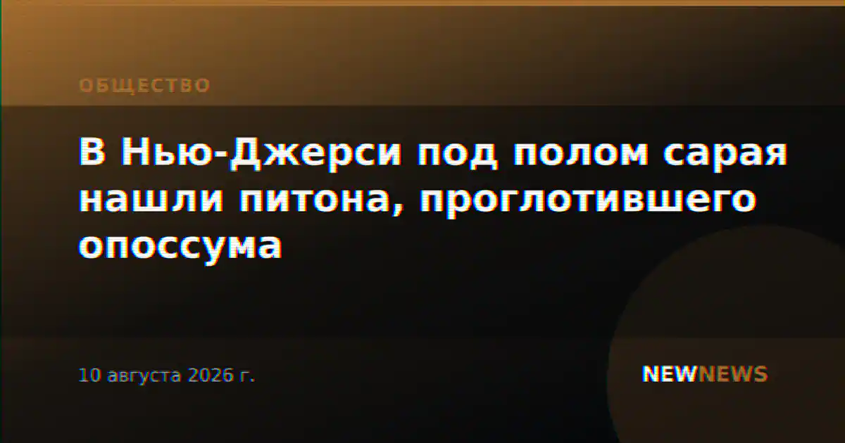 В Нью-Джерси под полом сарая нашли питона, проглотившего опоссума