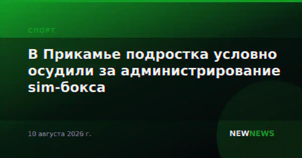 В Прикамье подростка условно осудили за администрирование sim-бокса