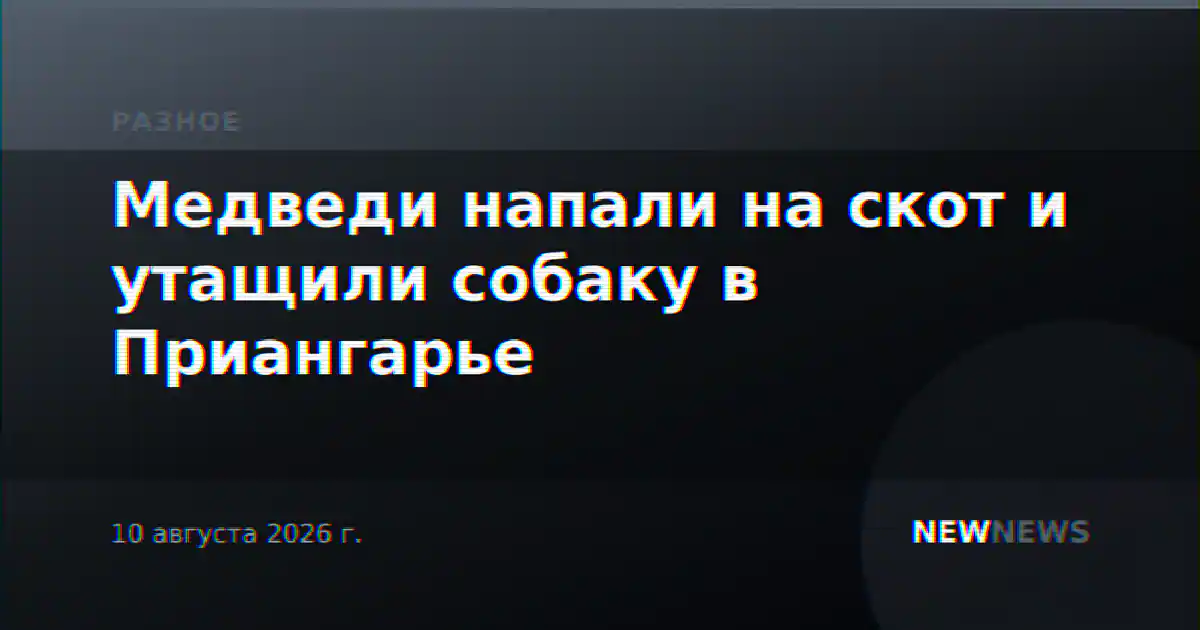 Медведи напали на скот и утащили собаку в Приангарье