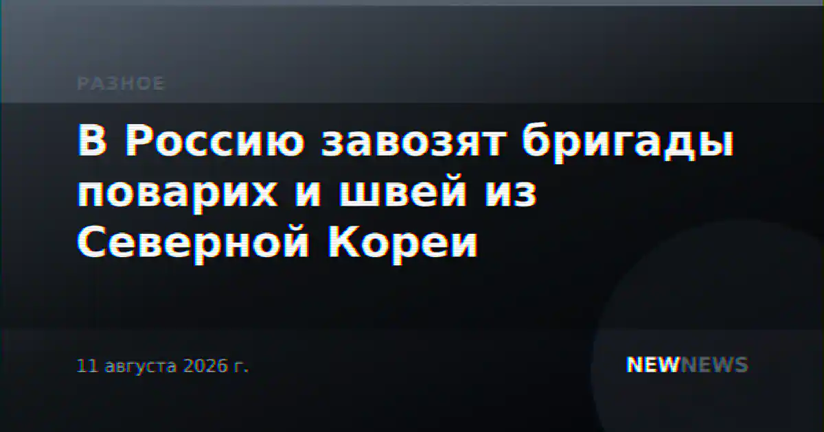 В Россию завозят бригады поварих и швей из Северной Кореи