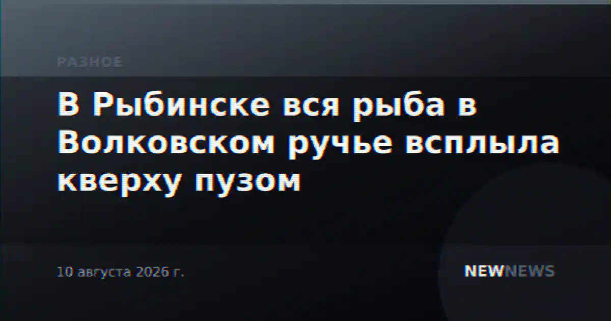 В Рыбинске вся рыба в Волковском ручье всплыла кверху пузом
