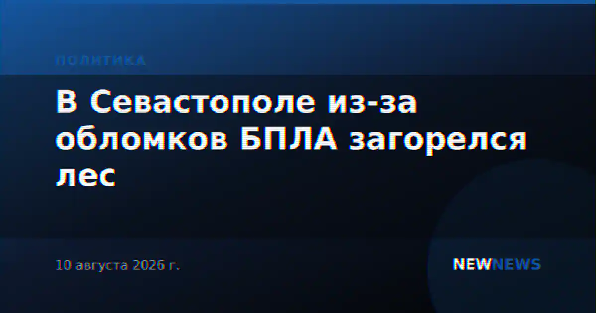 В Севастополе из-за обломков БПЛА загорелся лес