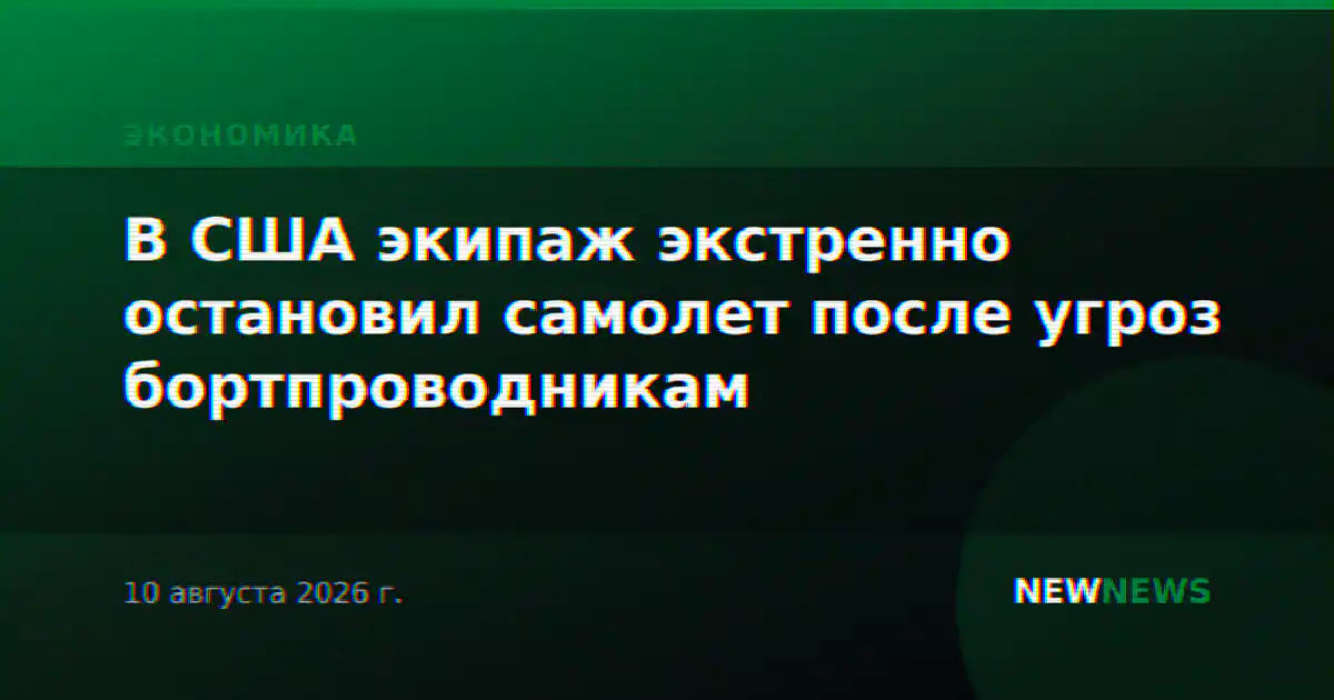 В США экипаж экстренно остановил самолет после угроз бортпроводникам