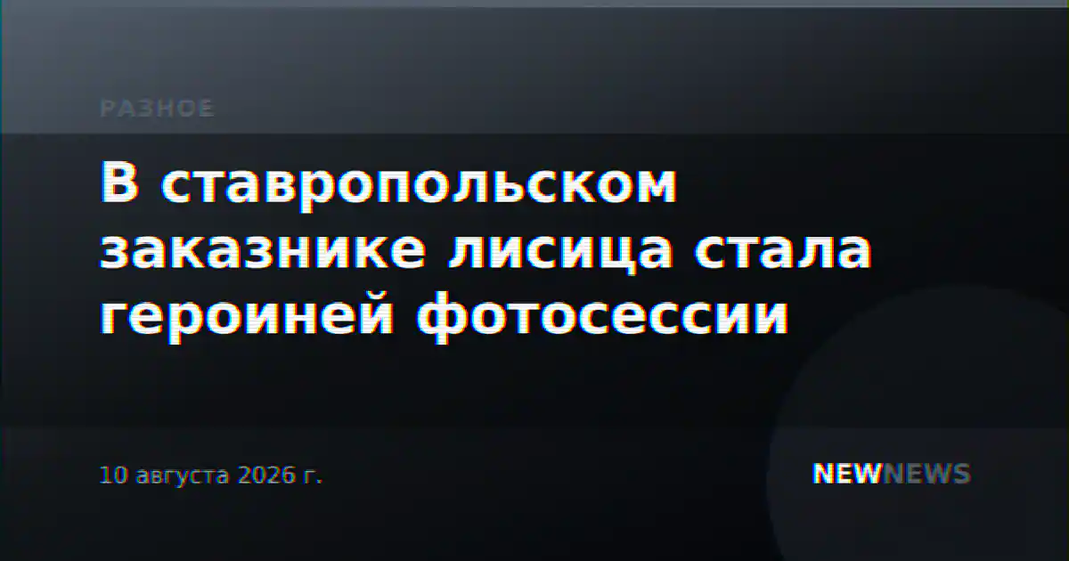 В ставропольском заказнике лисица стала героиней фотосессии
