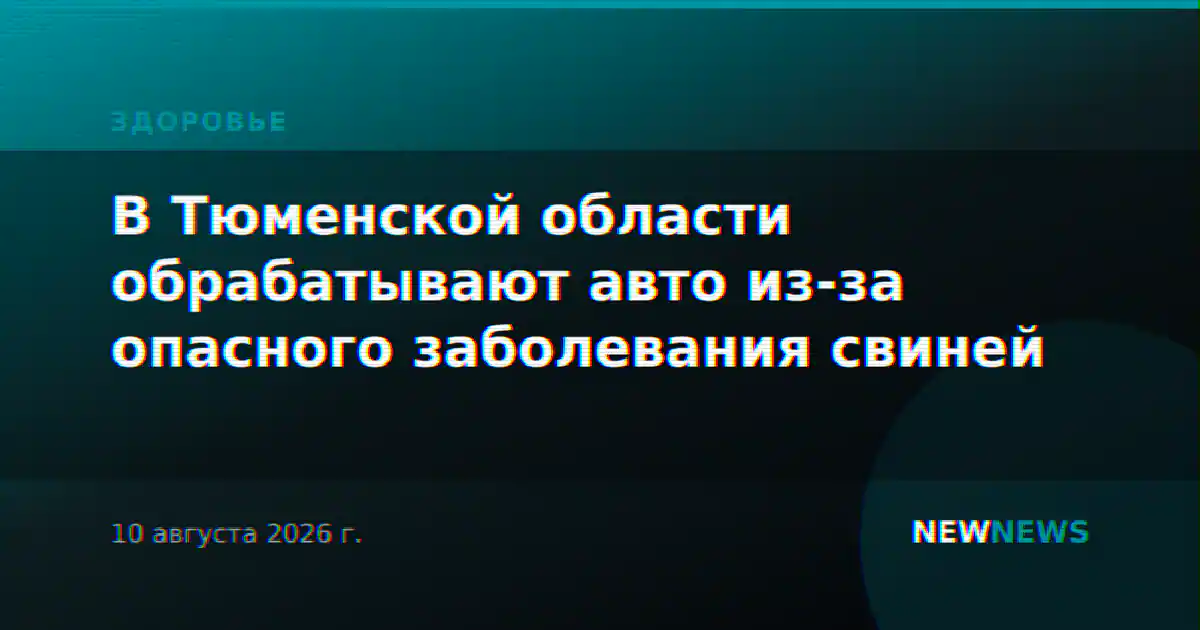 В Тюменской области обрабатывают авто из-за опасного заболевания свиней