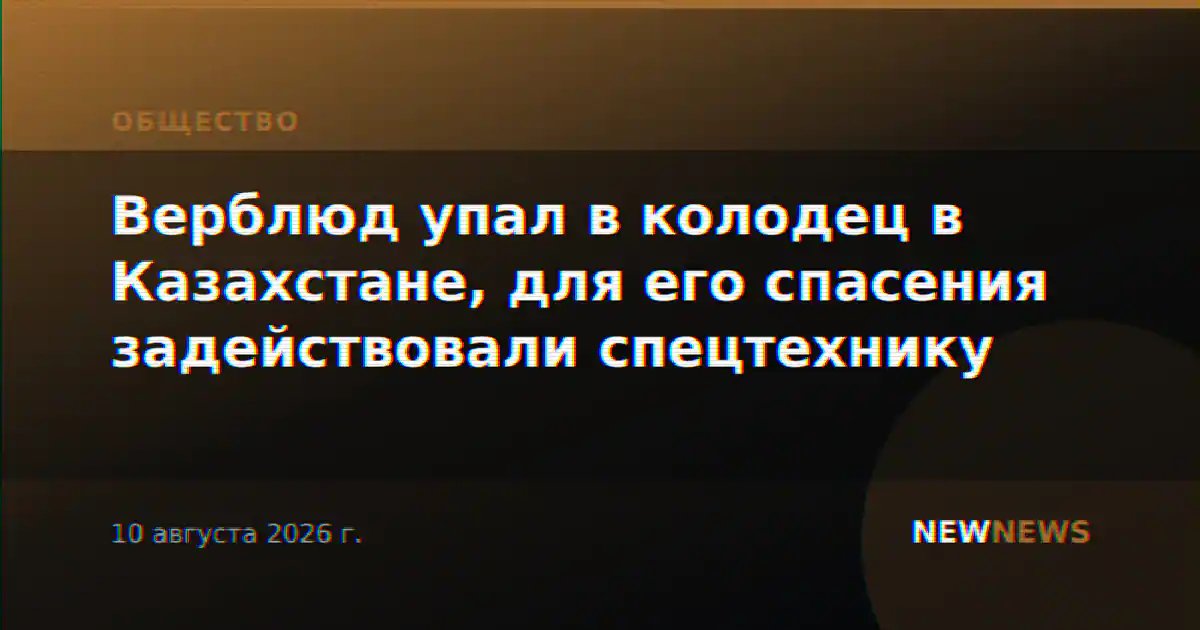 Верблюд упал в колодец в Казахстане, для его спасения задействовали спецтехнику