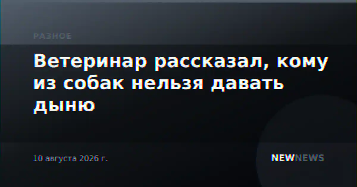 Ветеринар рассказал, кому из собак нельзя давать дыню