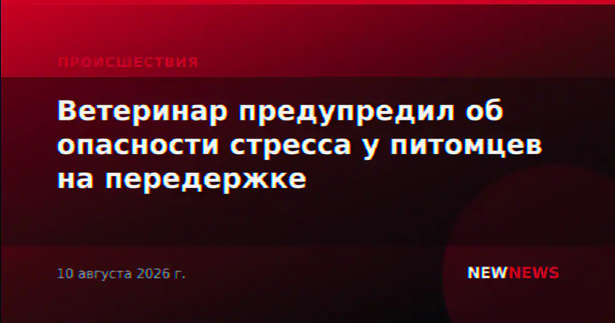 Ветеринар предупредил об опасности стресса у питомцев на передержке