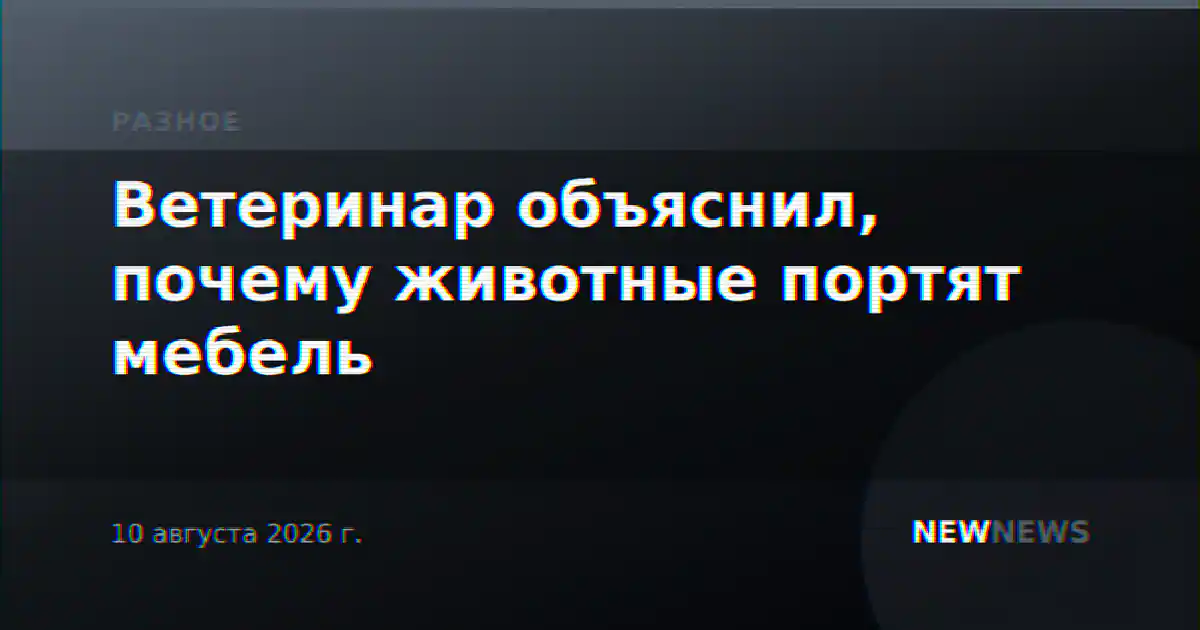 Ветеринар объяснил, почему животные портят мебель
