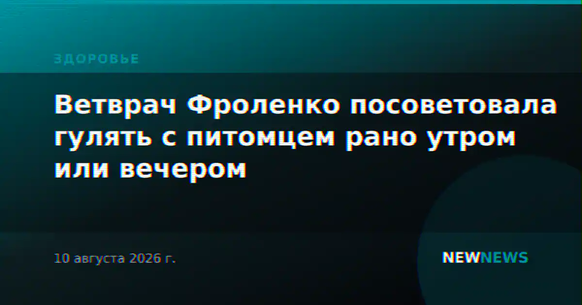 Ветврач Фроленко посоветовала гулять с питомцем рано утром или вечером