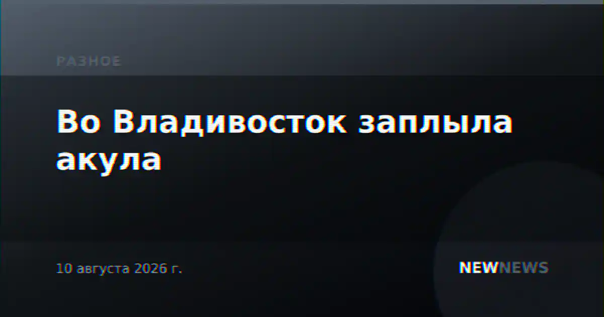 Во Владивосток заплыла акула