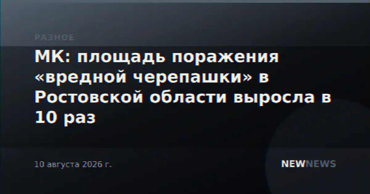 МК: площадь поражения «вредной черепашки» в Ростовской области выросла в 10 раз