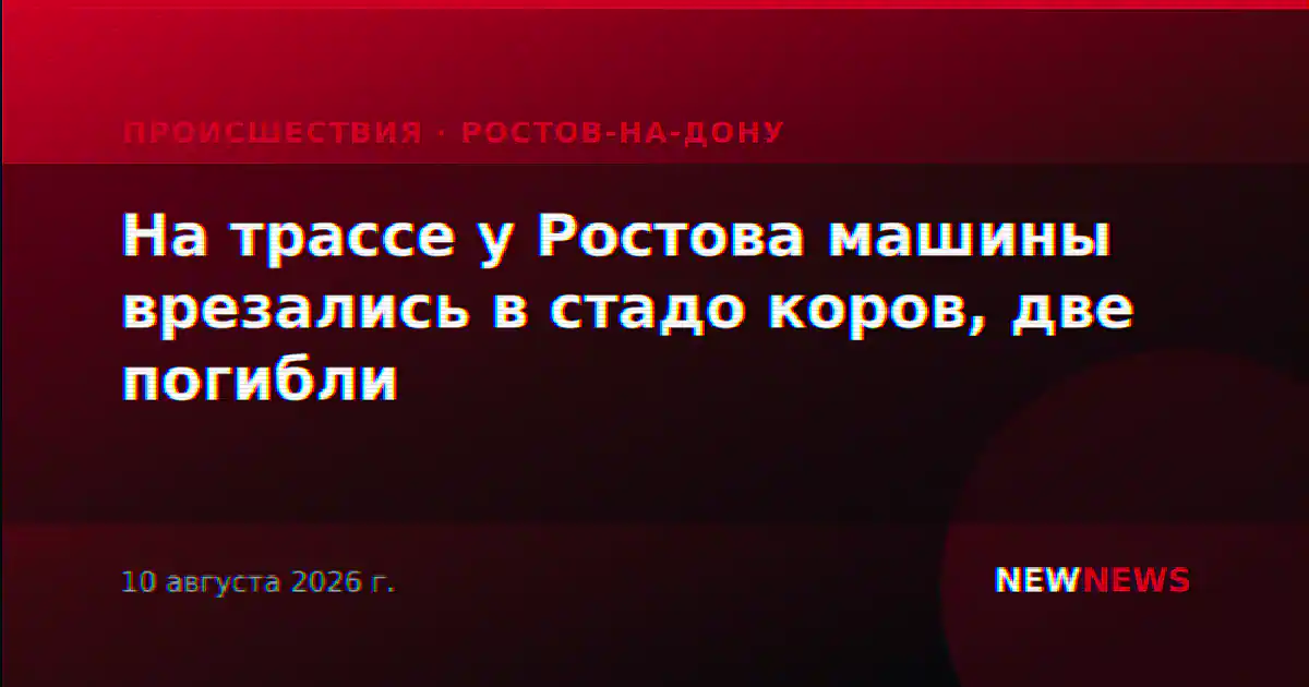 На трассе у Ростова машины врезались в стадо коров, две погибли