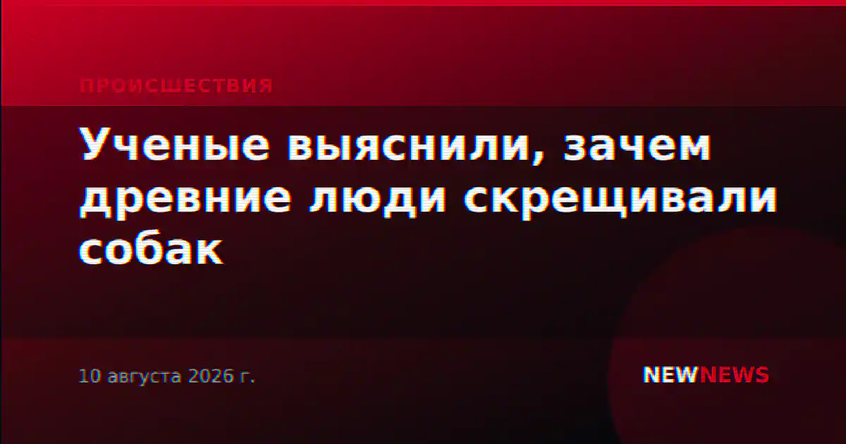 Ученые выяснили, зачем древние люди скрещивали собак