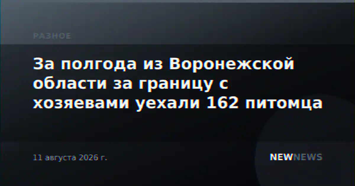 За полгода из Воронежской области за границу с хозяевами уехали 162 питомца