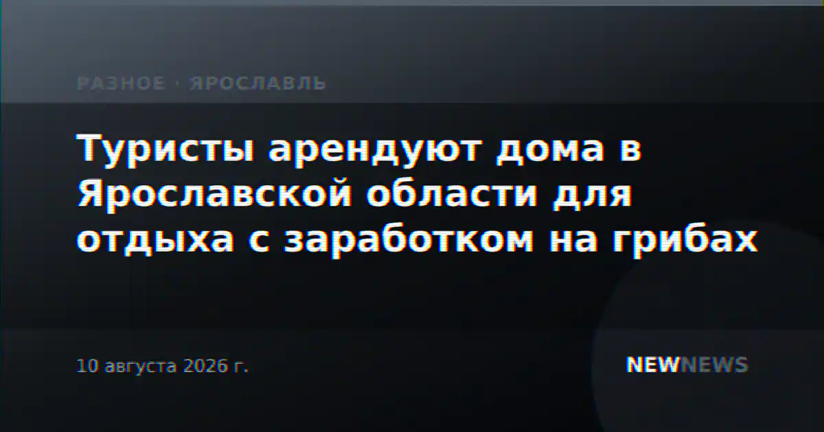 Туристы арендуют дома в Ярославской области для отдыха с заработком на грибах