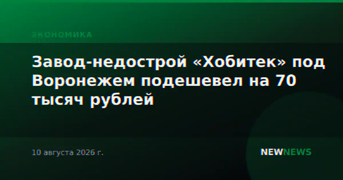 Завод-недострой «Хобитек» под Воронежем подешевел на 70 тысяч рублей