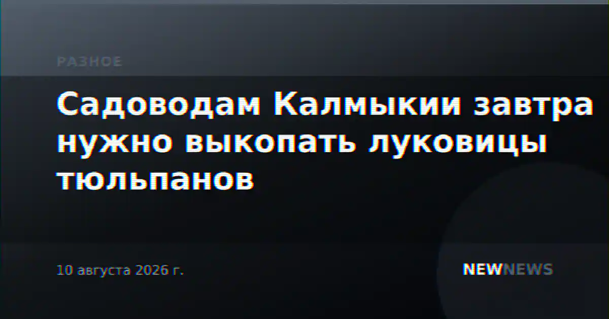 Садоводам Калмыкии завтра нужно выкопать луковицы тюльпанов
