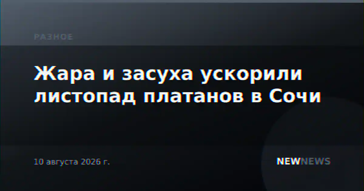 Жара и засуха ускорили листопад платанов в Сочи