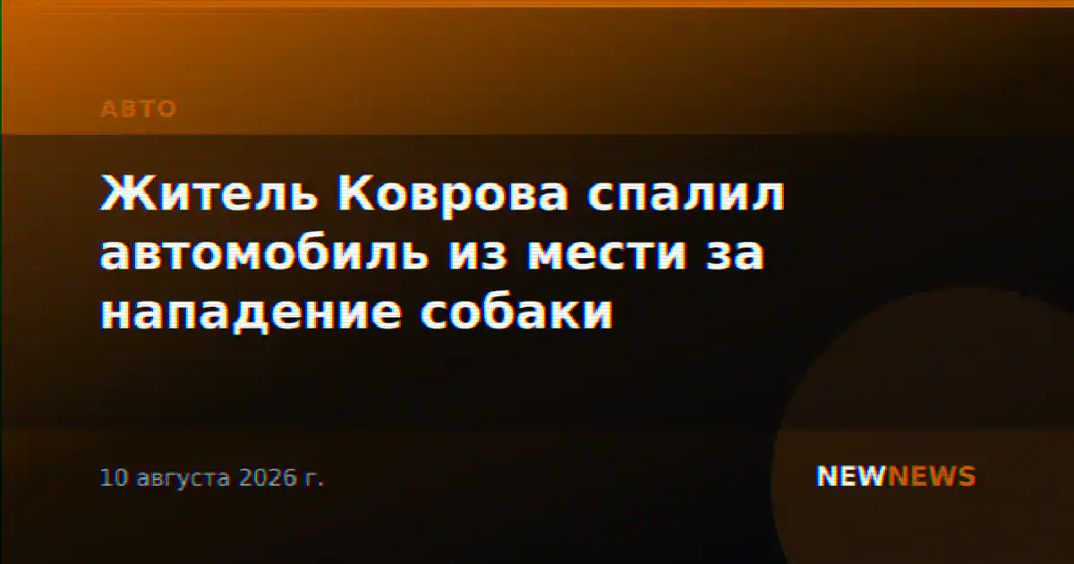 Житель Коврова спалил автомобиль из мести за нападение собаки