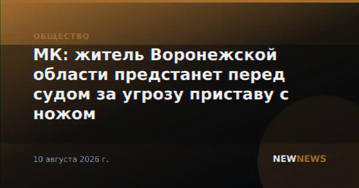 МК: житель Воронежской области предстанет перед судом за угрозу приставу с ножом